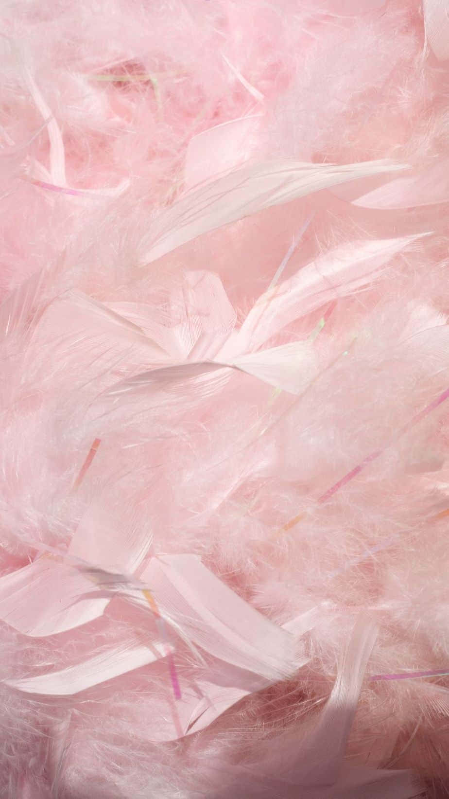Pink Feathers iPhone Background