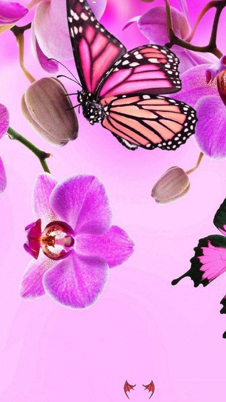 A magical pink glitter butterfly adorns this wallpaper. Wallpaper