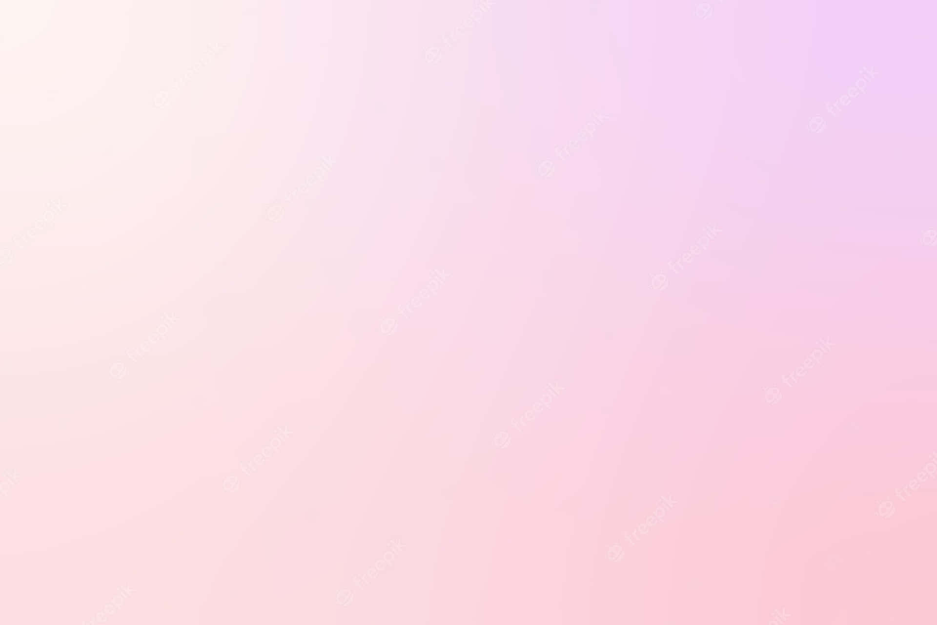Pink Gradient Background 2000 X 1333