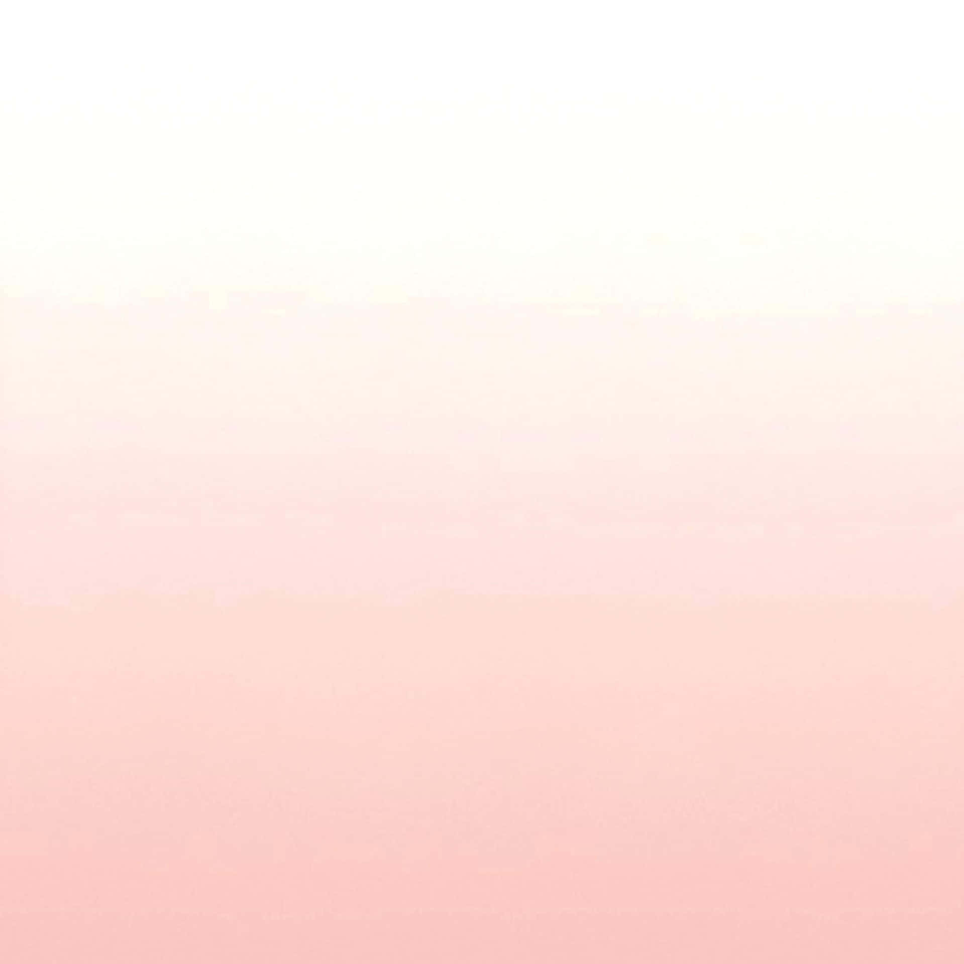 Pink Gradient Background 2648 X 2650