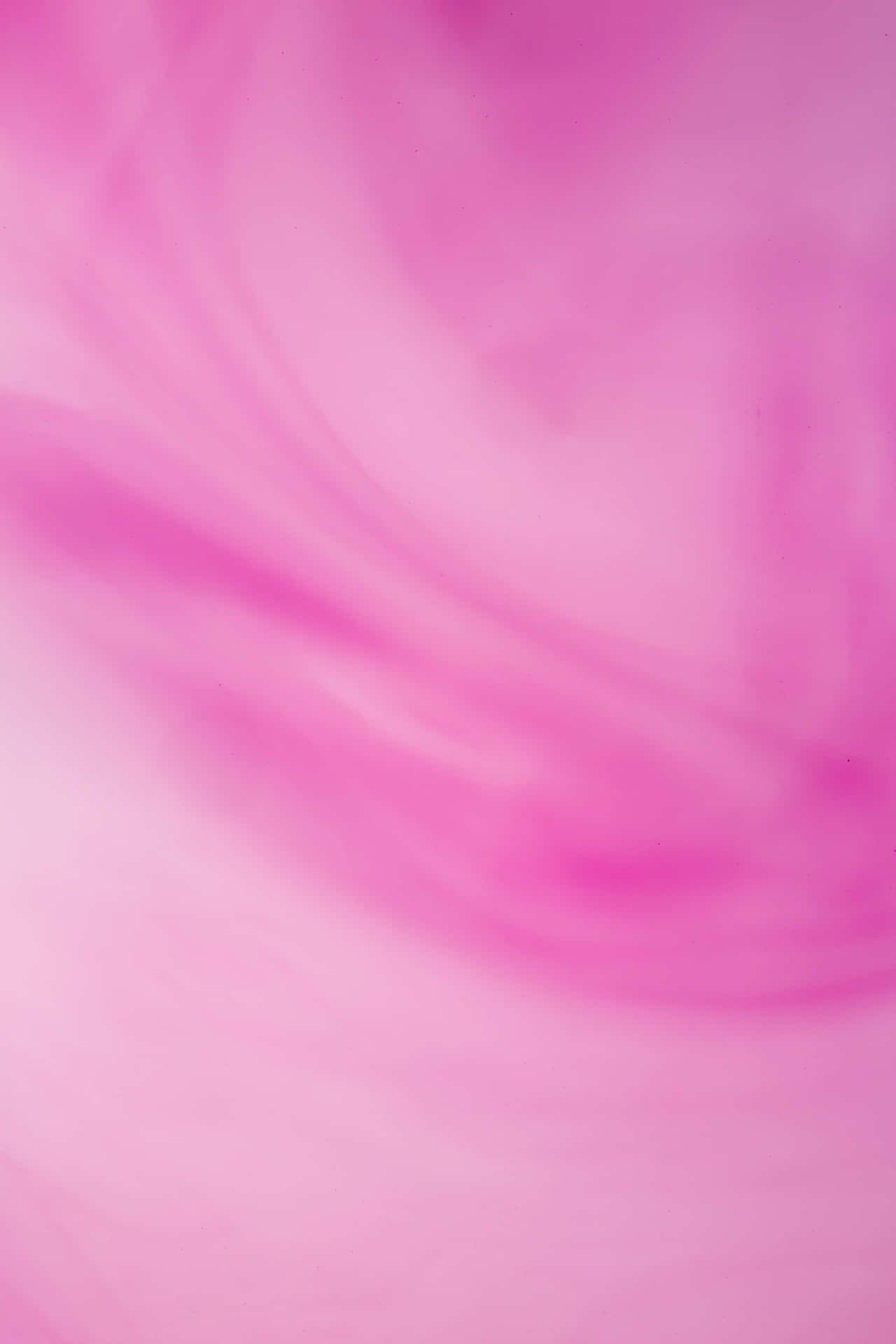 Pink Gradient Background 3840 X 5760