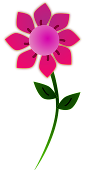 Pink Graphic Floweron Black Background PNG