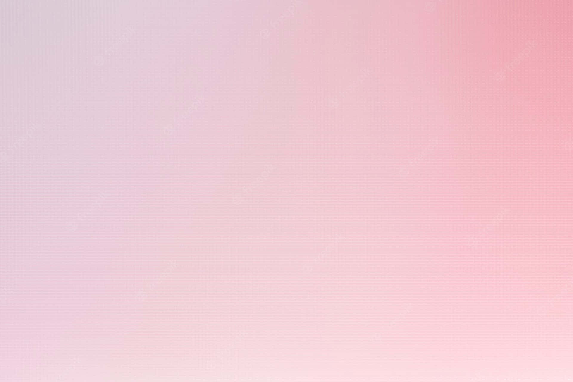 Pink And White Gradient Background Wallpaper