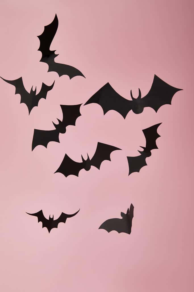 Bats Flying In The Air On A Pink Background