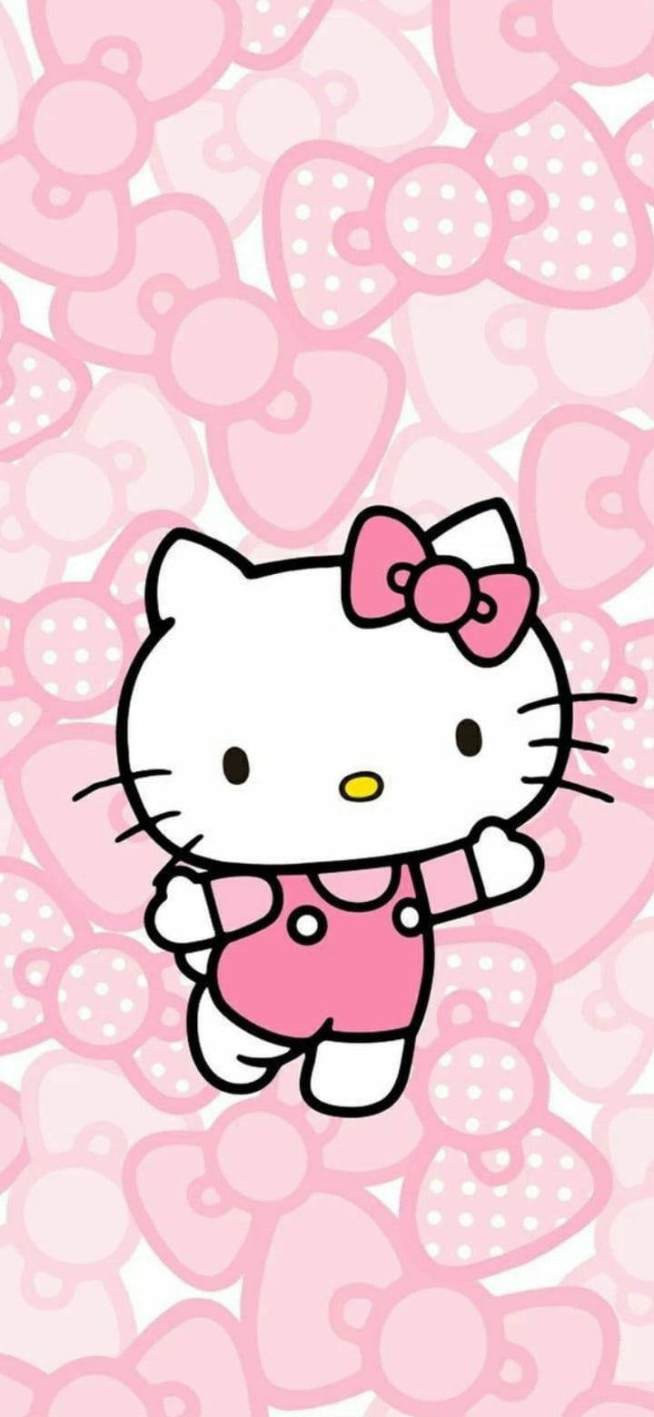 Pink Hello Kitty With Different Bows Wallpaper