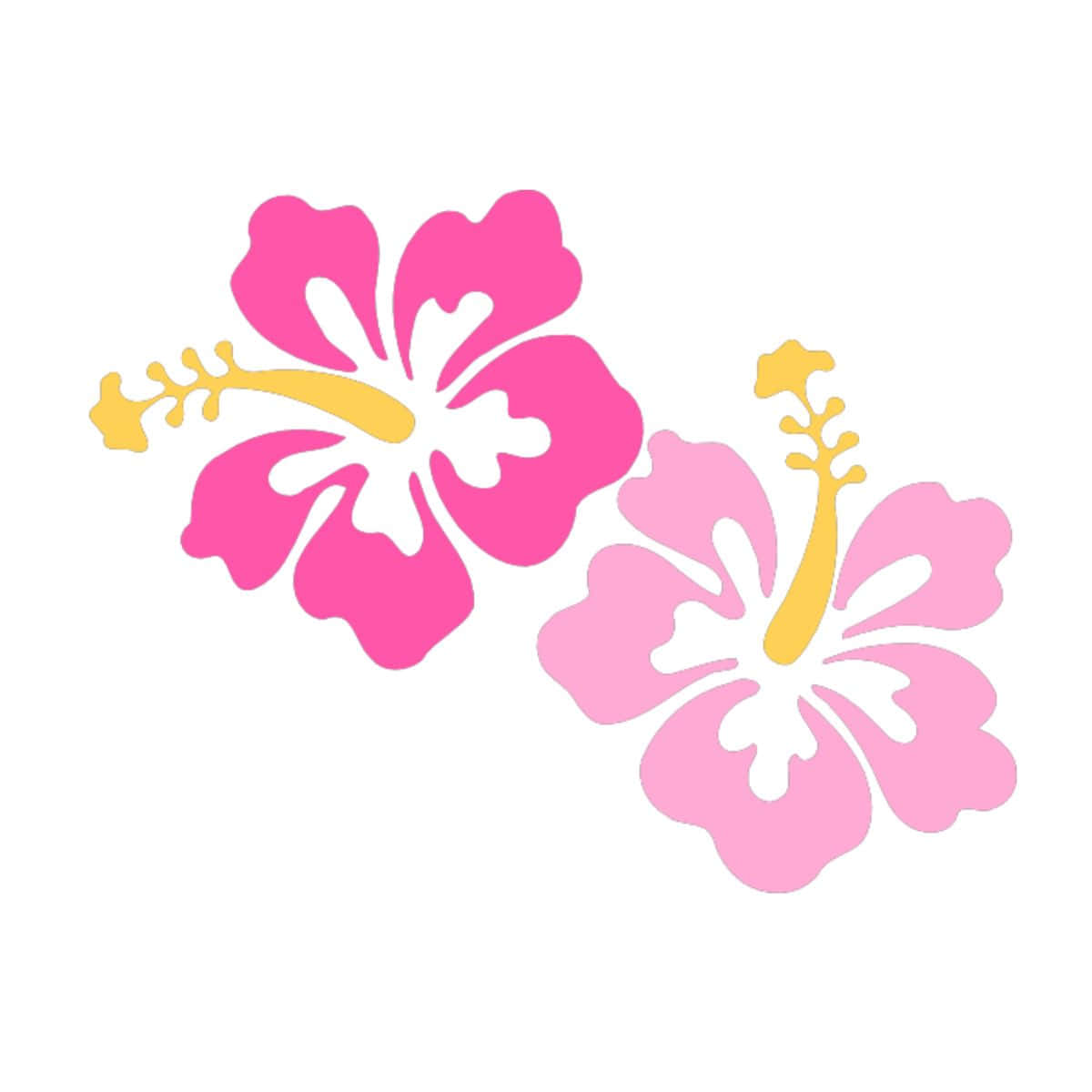 Pink Hibiscus Flower Illustration Wallpaper