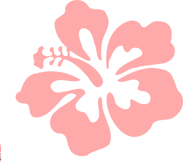 Pink Hibiscus Graphic PNG