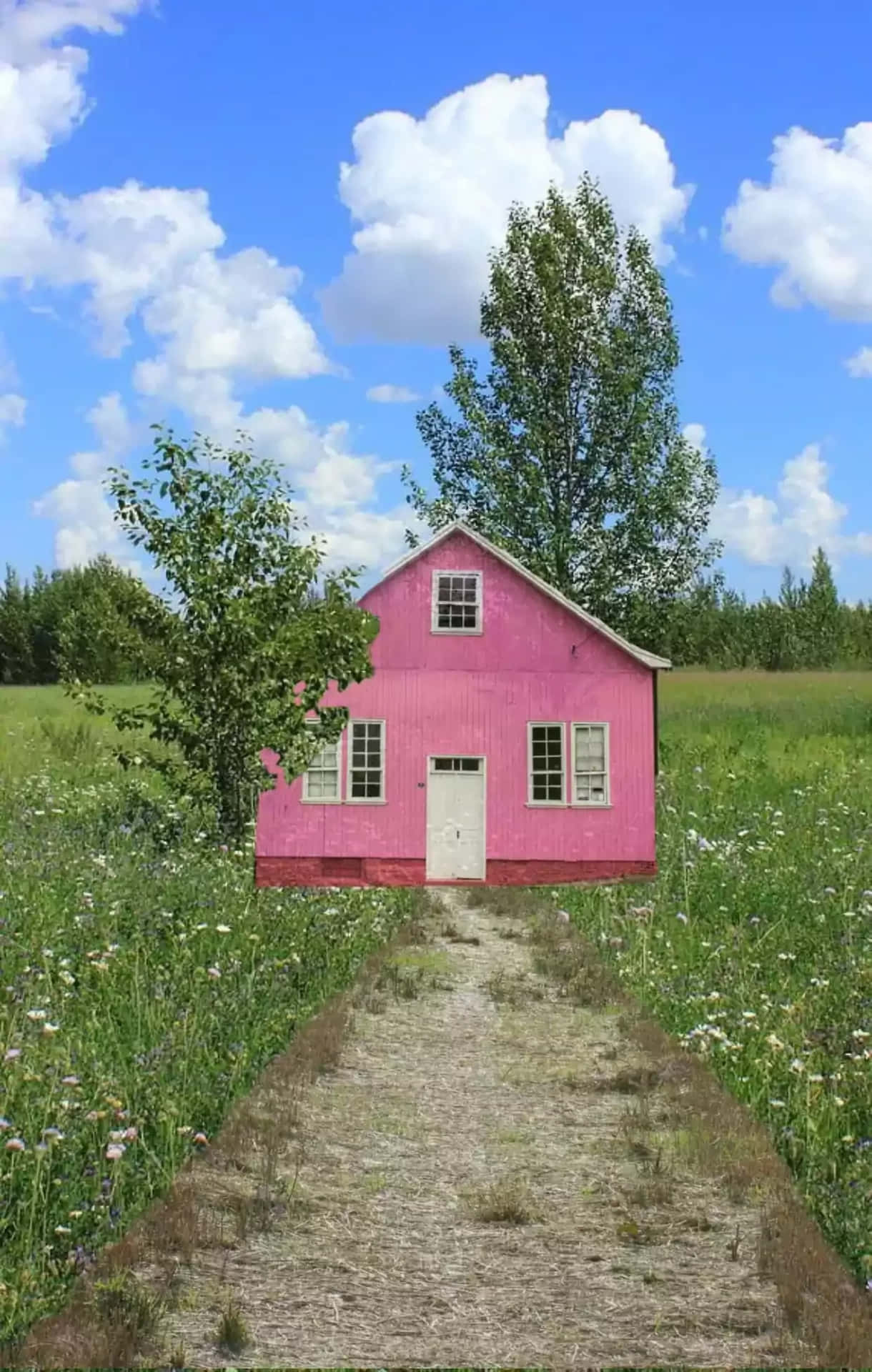 Pink Housein Meadow Dreamcore Aesthetic.jpg Wallpaper