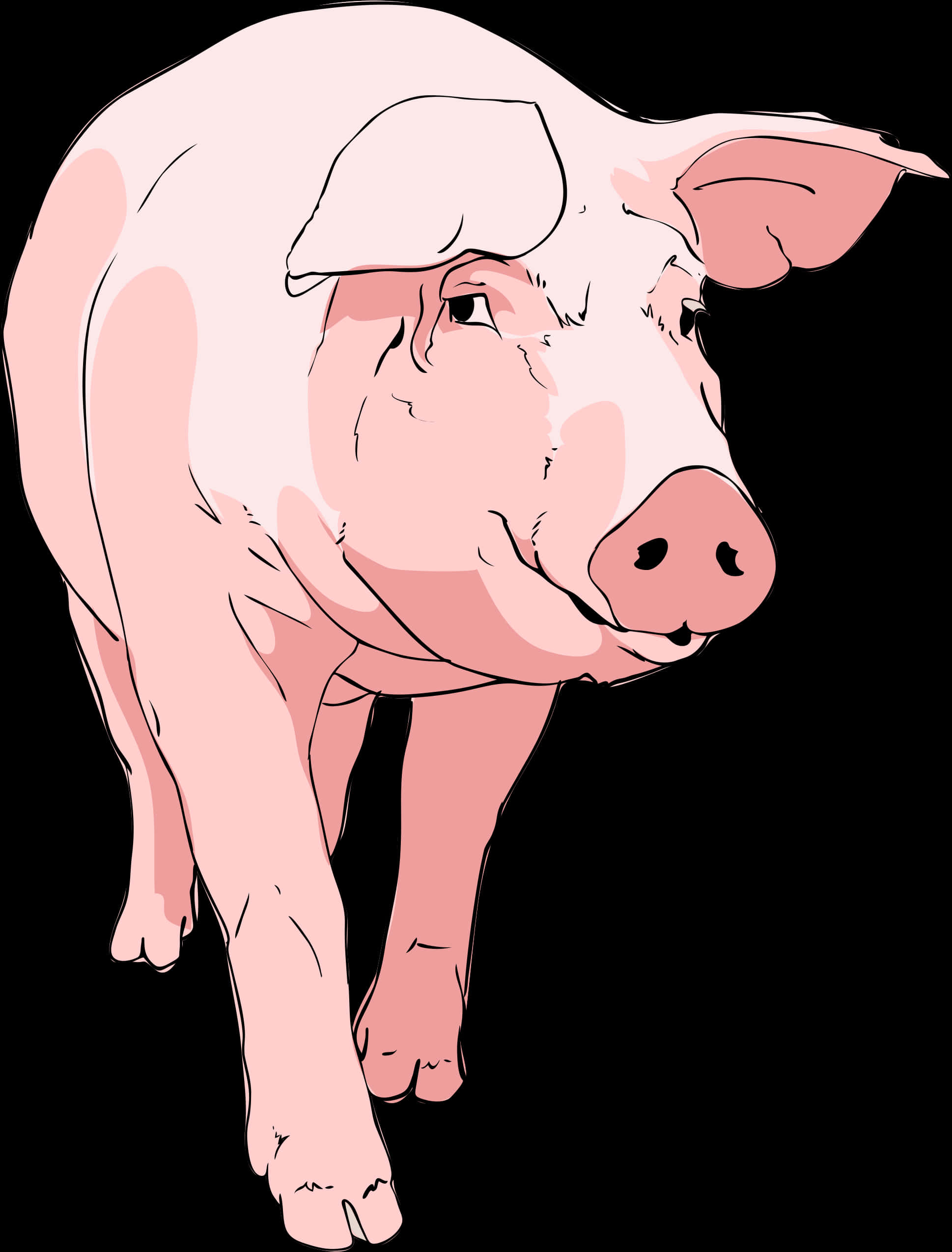 Pink Illustrated Pig PNG