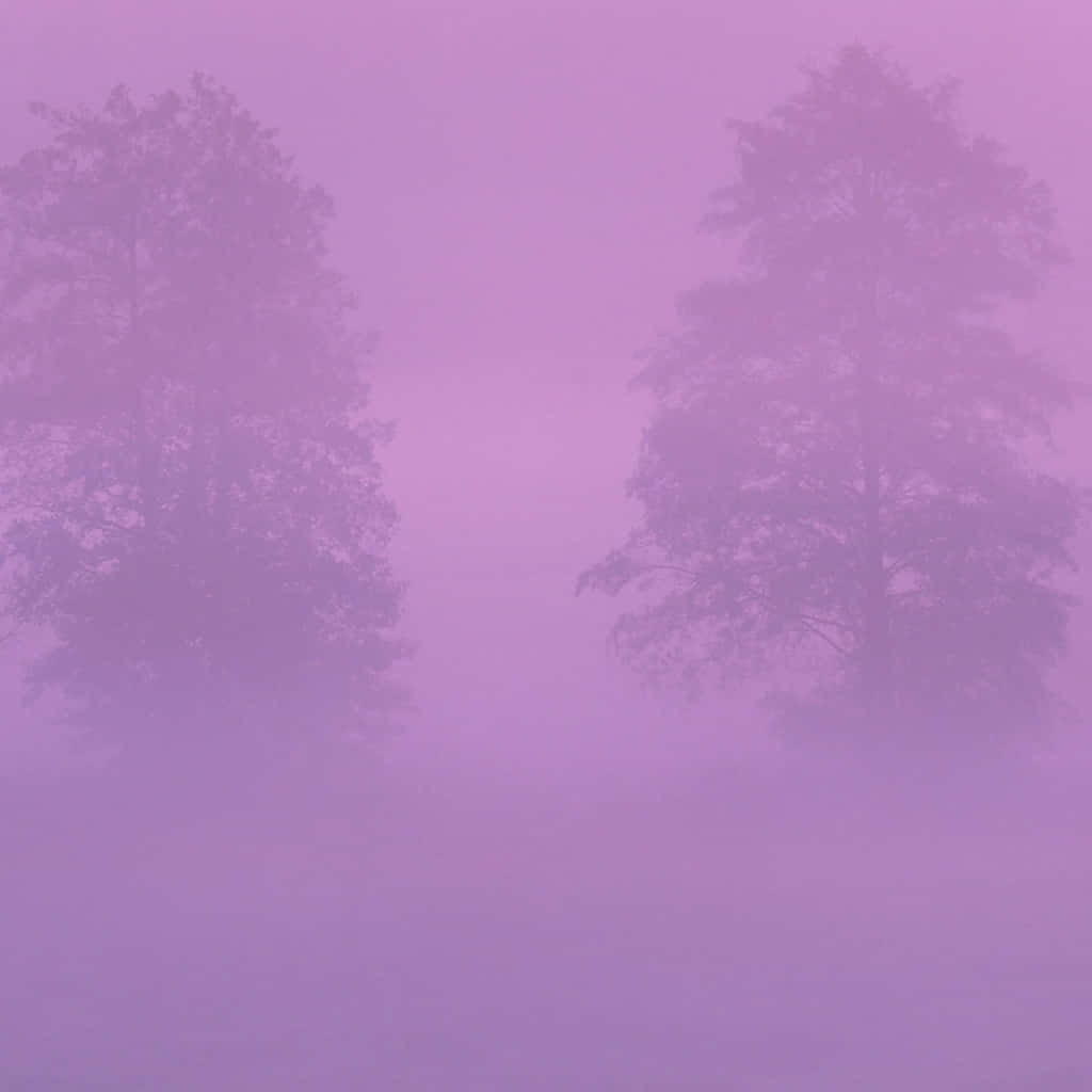 Zweibäume Im Nebel Mit Lila Himmel. Wallpaper