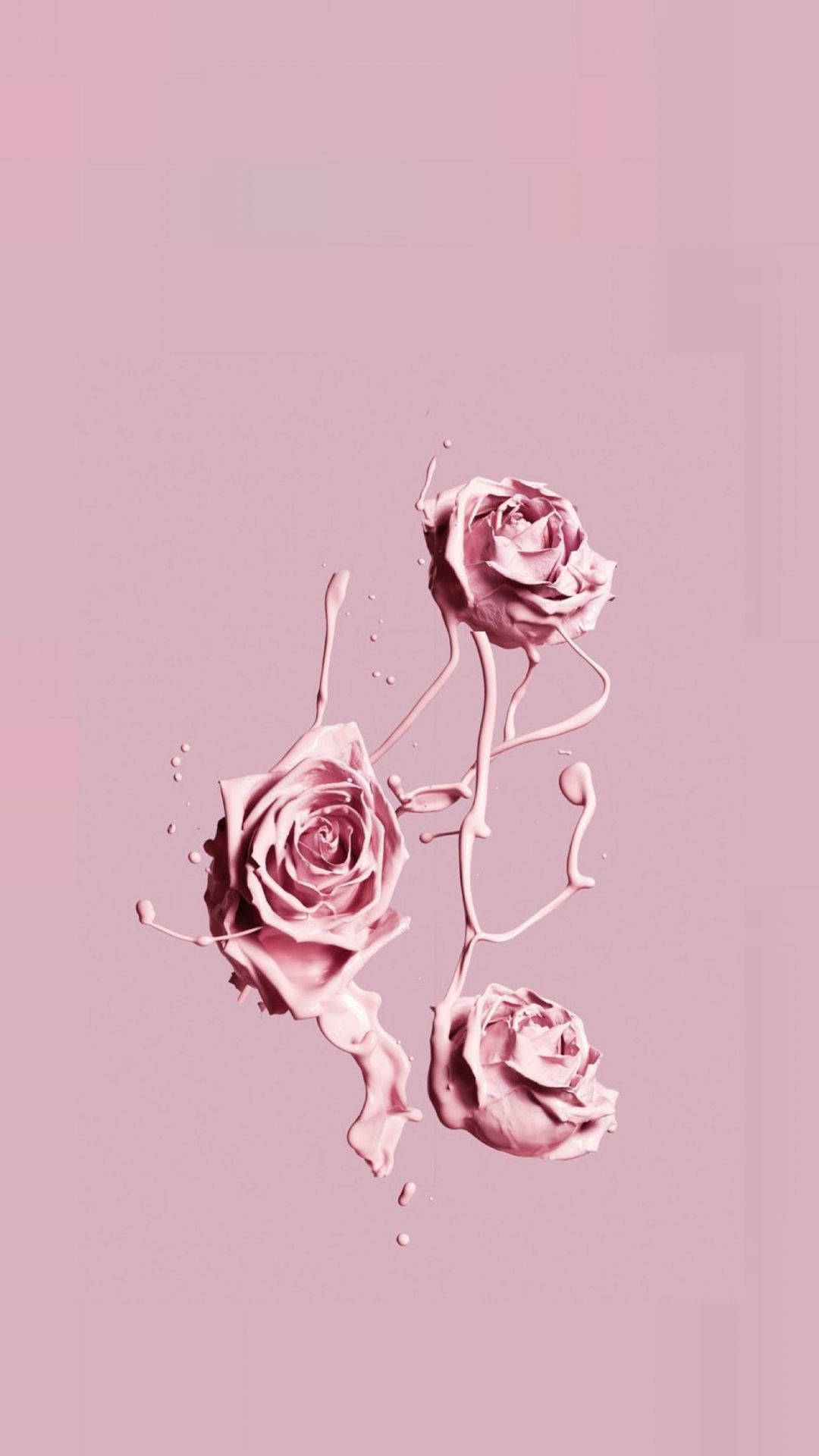Pink Iphone Xr Aethetic Roses Wallpaper