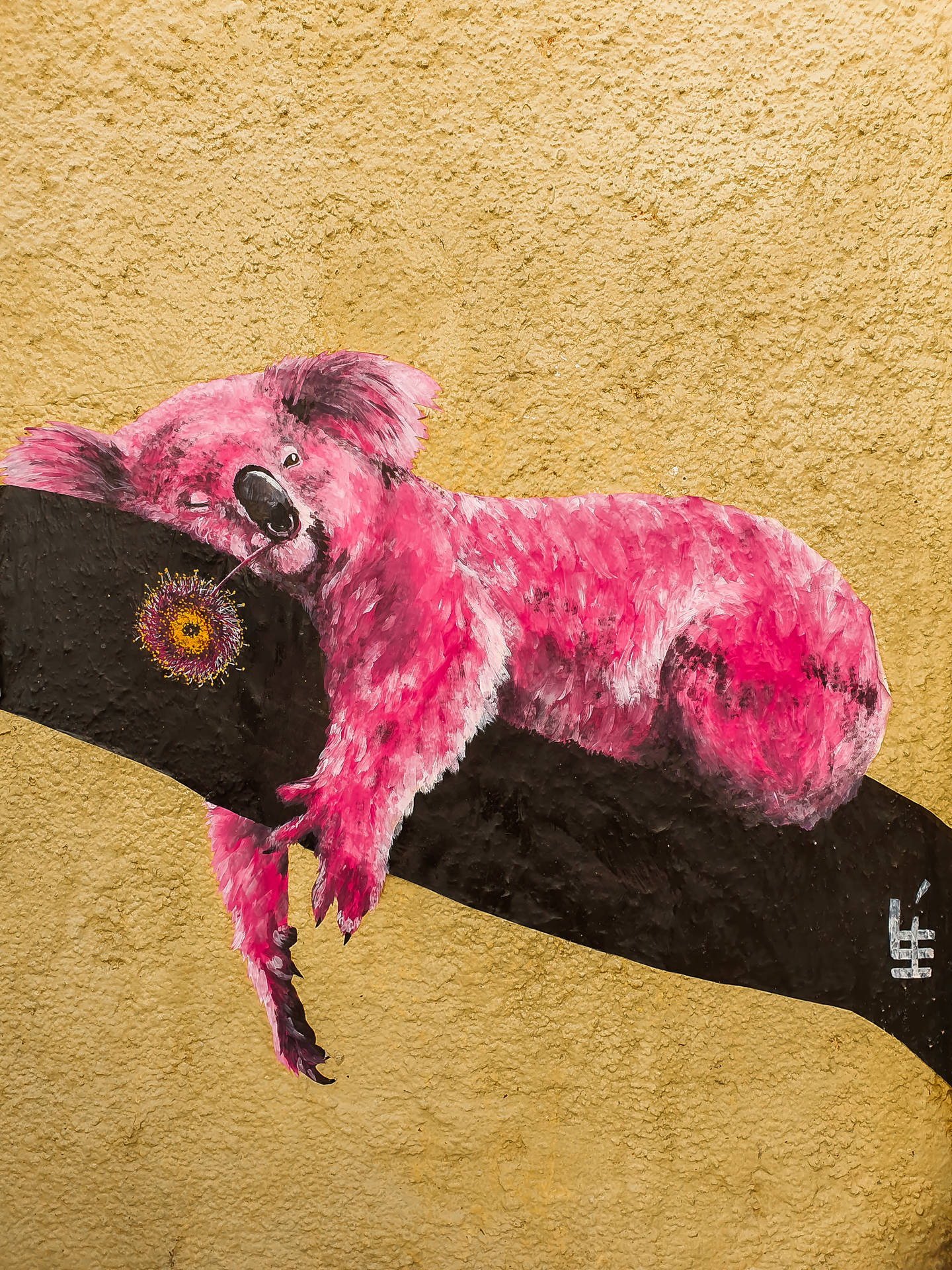 Pink Koala Street Art Wallpaper