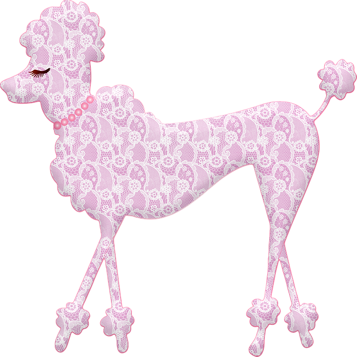 Pink Lace Patterned Poodle SVG