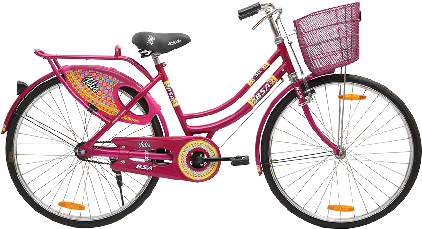 Pink Ladies Bicyclewith Basket PNG