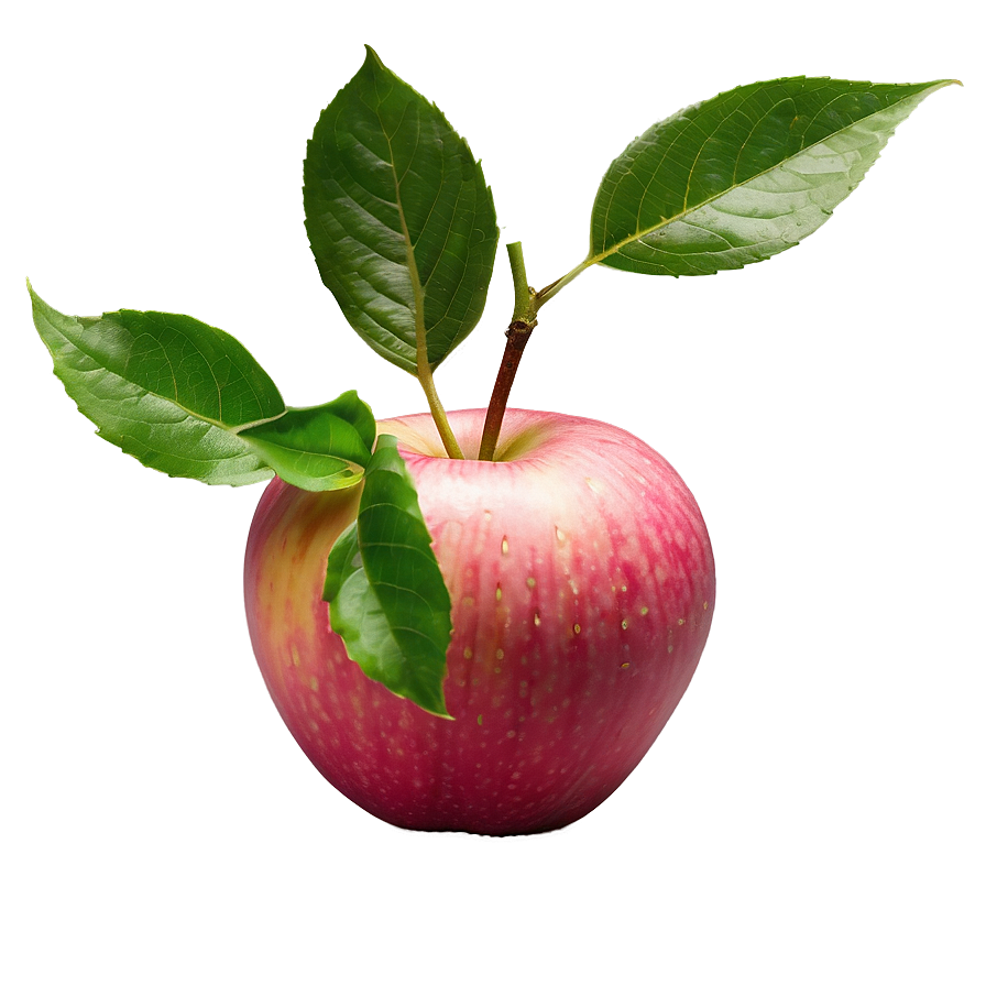 Pink Lady Apple Png 04292024 PNG