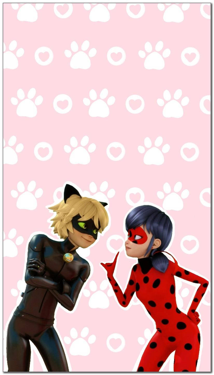 Rosa Ladybug Og Cat Noir Telefon Tapet Wallpaper