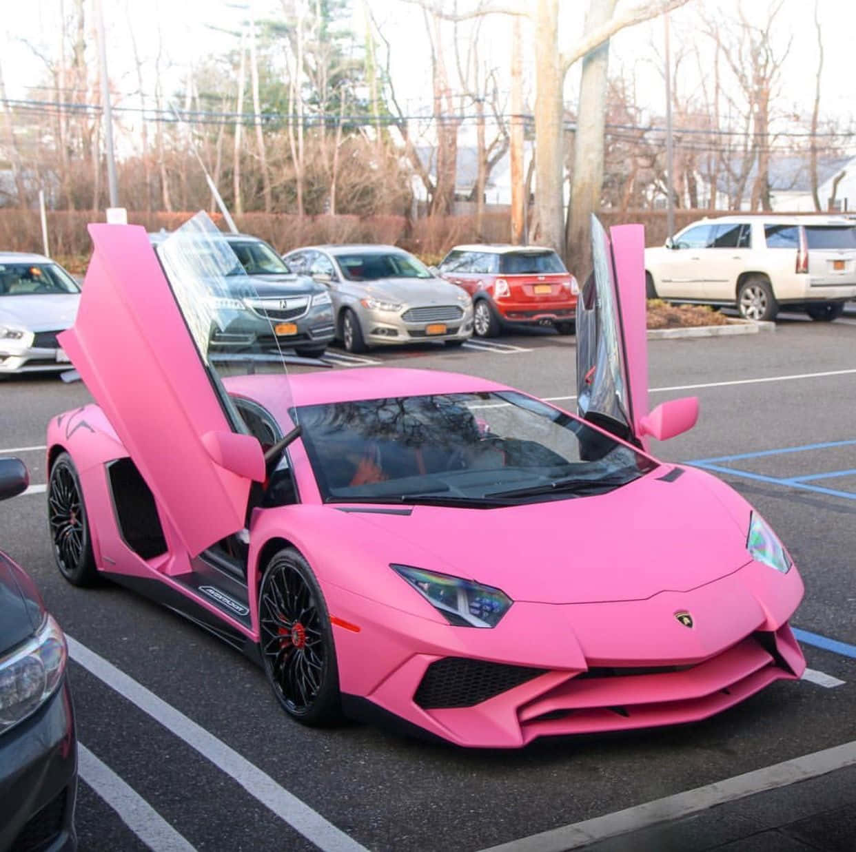 Pink Lamborghini Aventador Parked Wallpaper