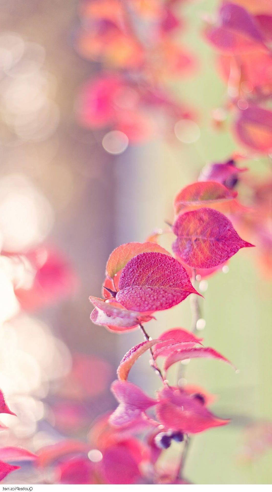 Pink Leaves For Cute Girly Phone Wallpaper