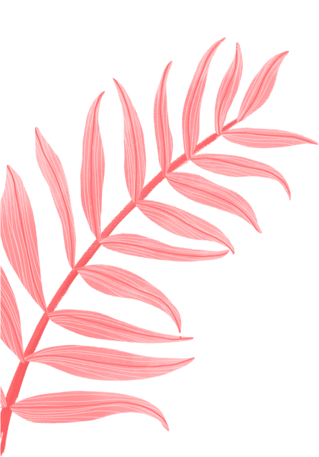 Pink Leaves Illustration PNG