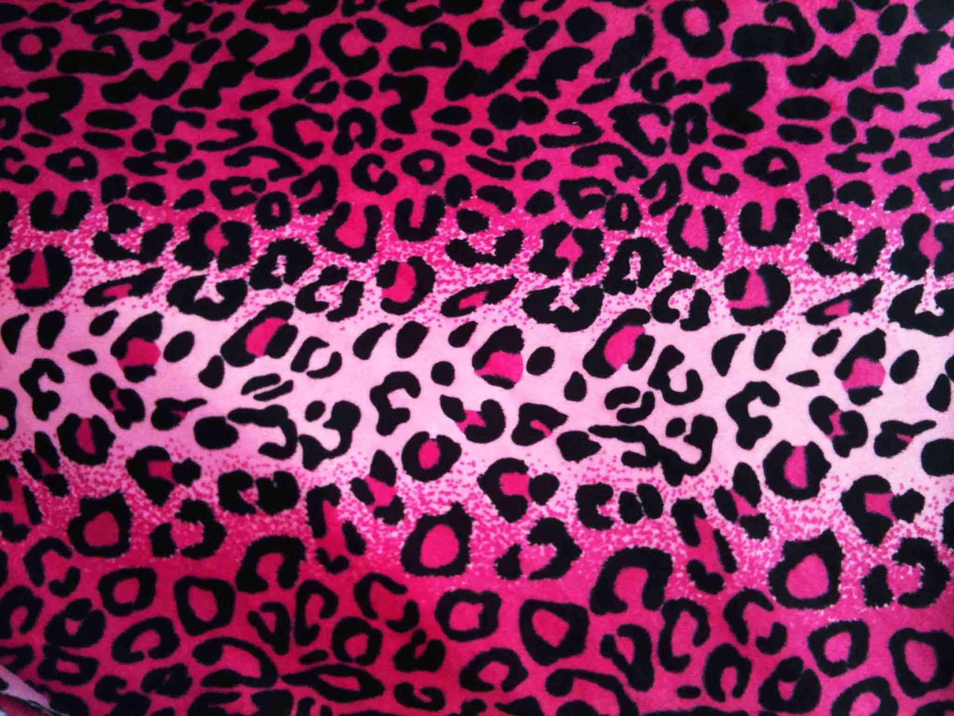 Einenahaufnahme Eines Rosa Leopardenmuster-stoffes Wallpaper