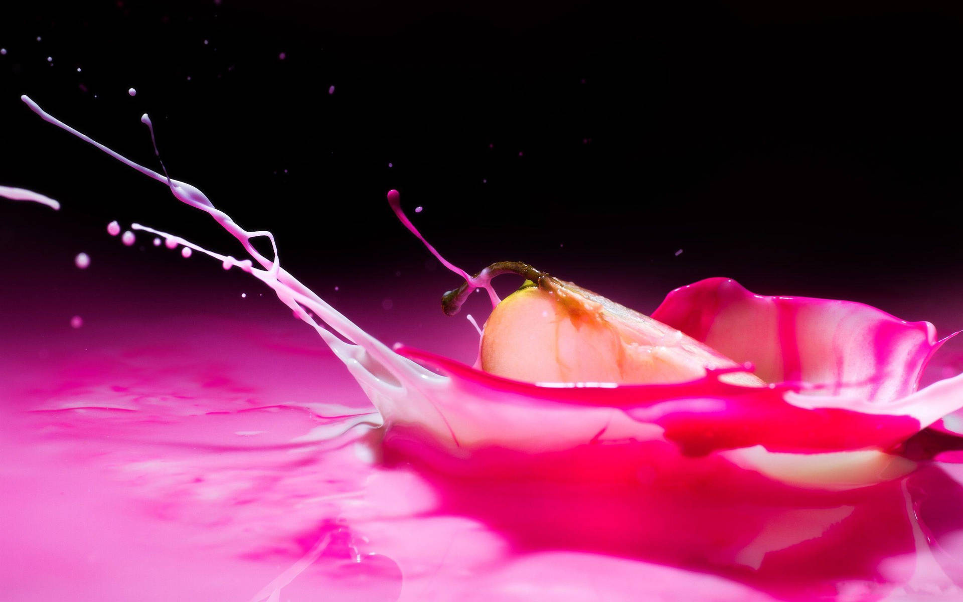 Rosavätskesplash. Wallpaper