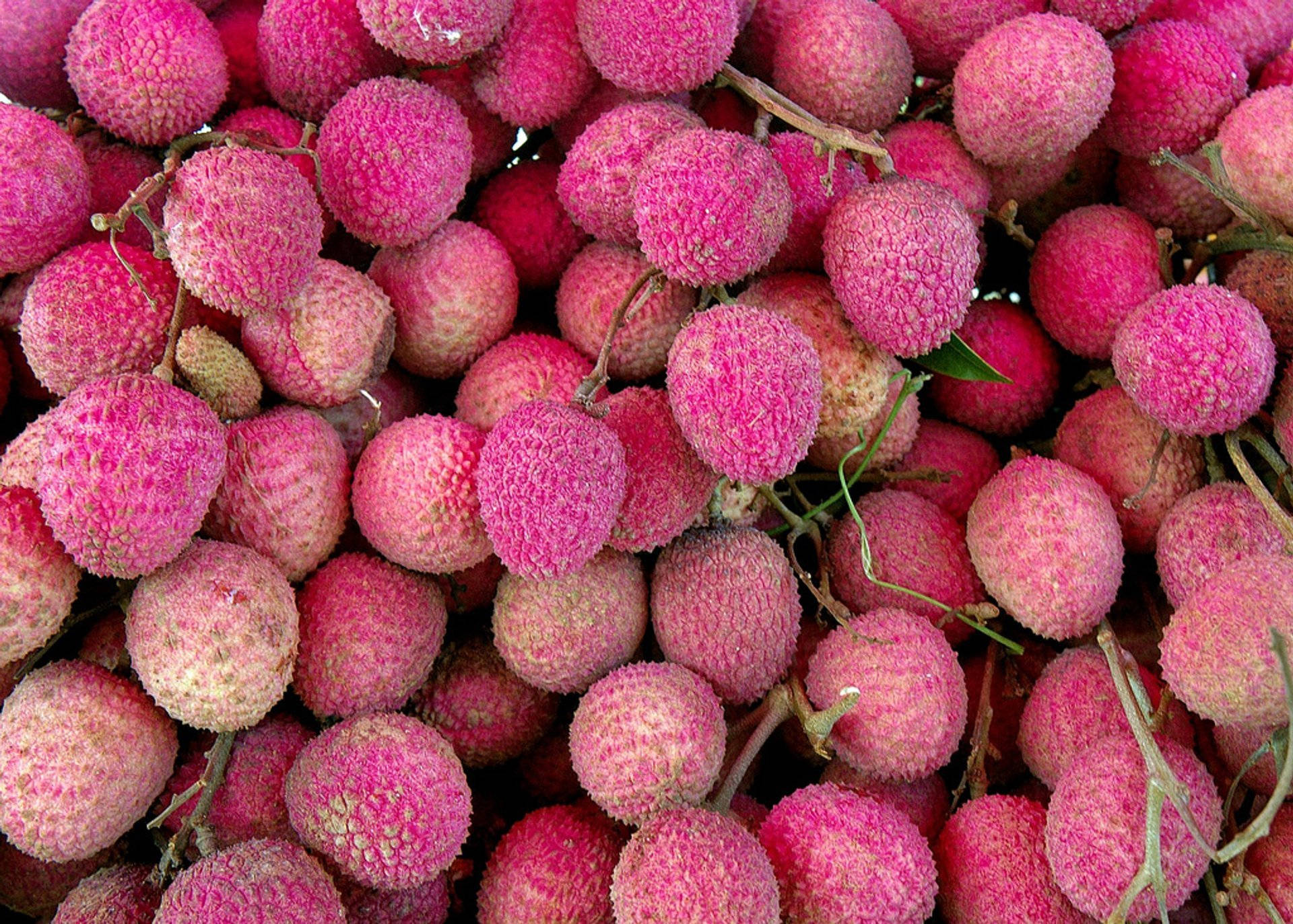 Pink litchi produce wallpaper