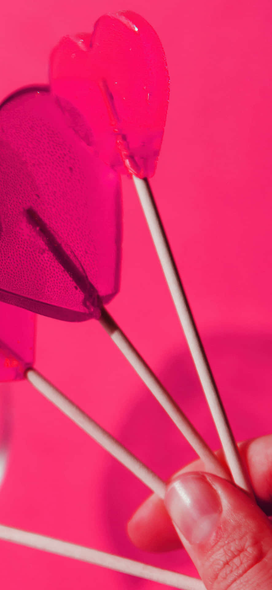 Pink Lollipop Shadowson Pink Background Wallpaper