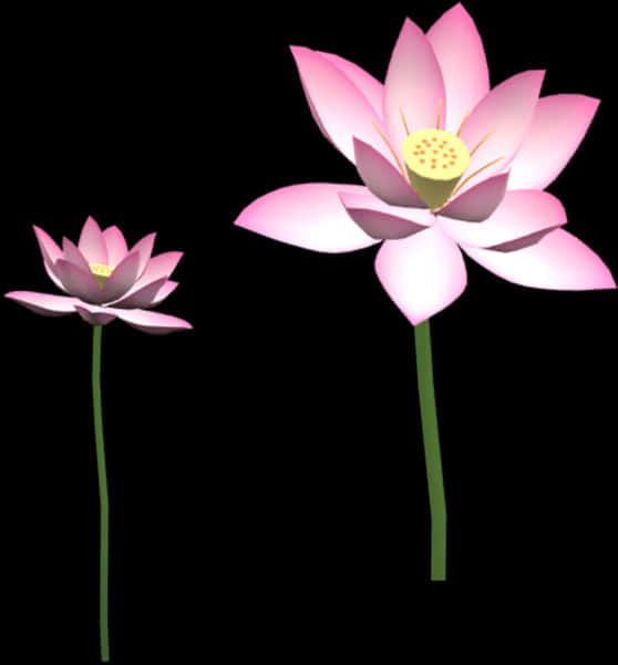 Pink Lotus Flowers Illustration PNG