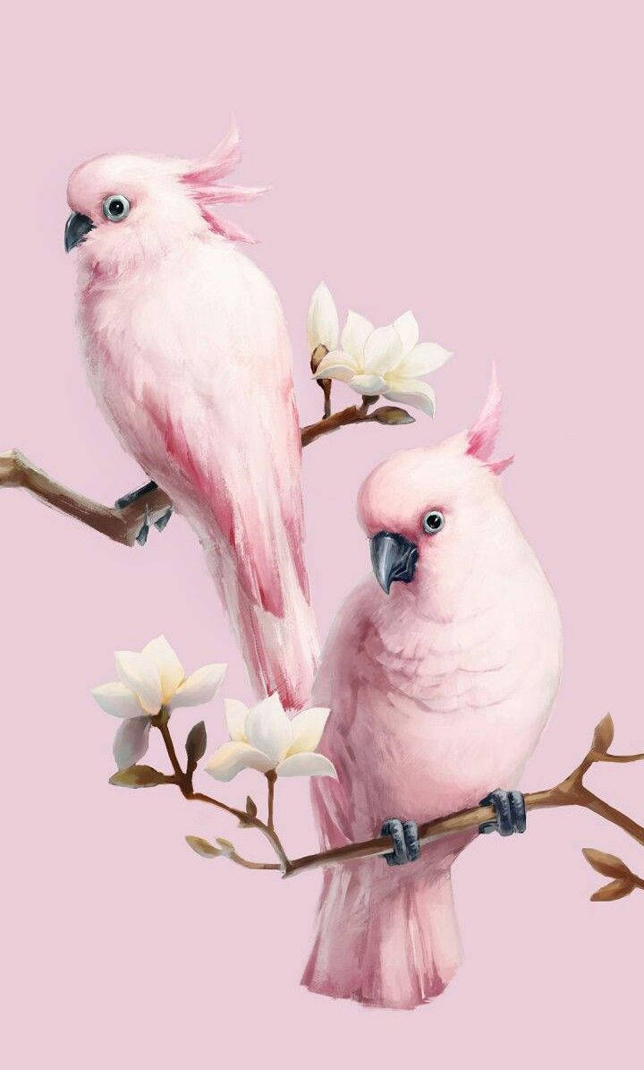 Pink Love Birds Painting Wallpaper