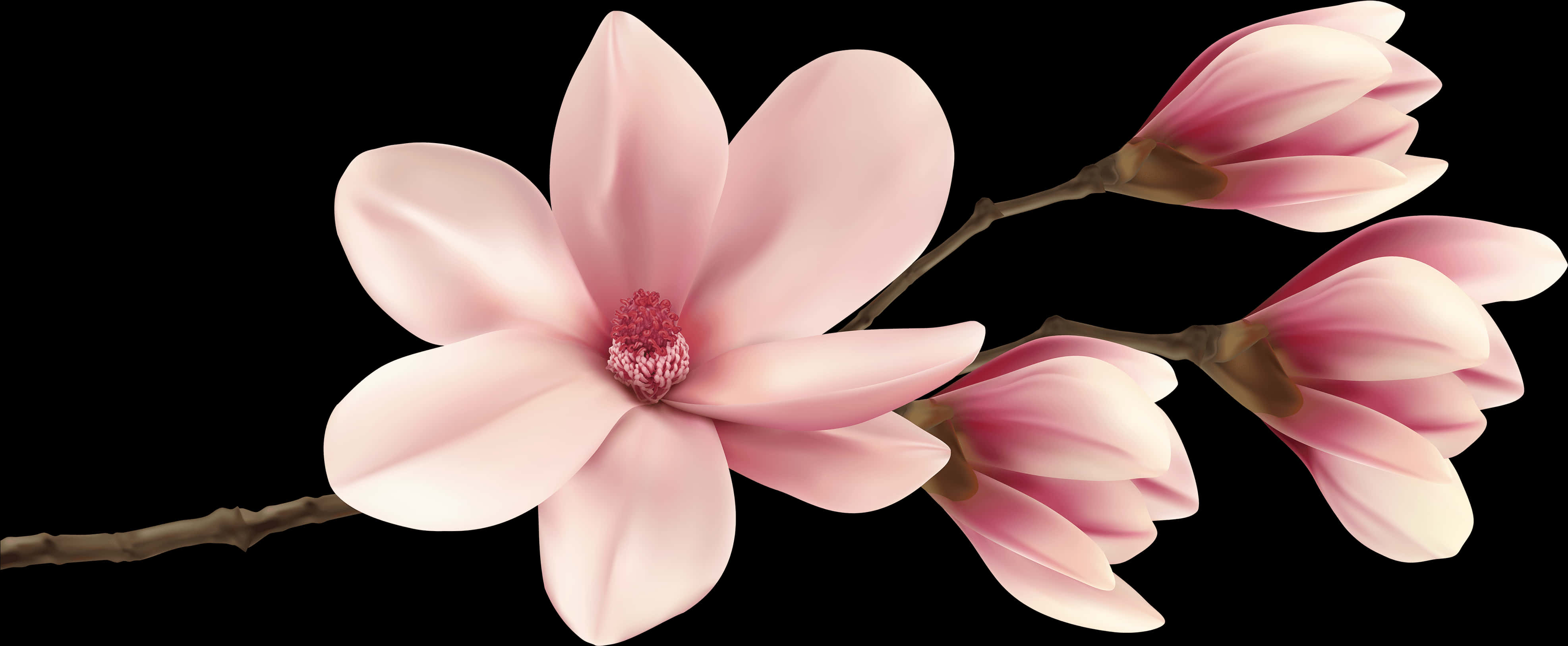 Pink Magnolia Blossom Branch PNG
