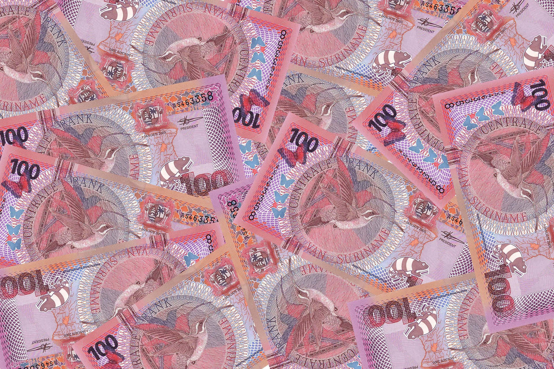 En bunke penge i pink og lilla. Wallpaper