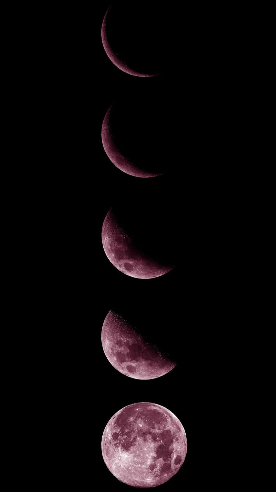 Pink Moon Photos Download The BEST Free Pink Moon Stock Photos  HD Images