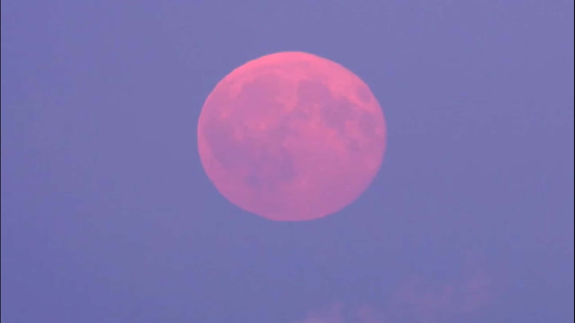 Pink Moon High In The Sky Wallpaper
