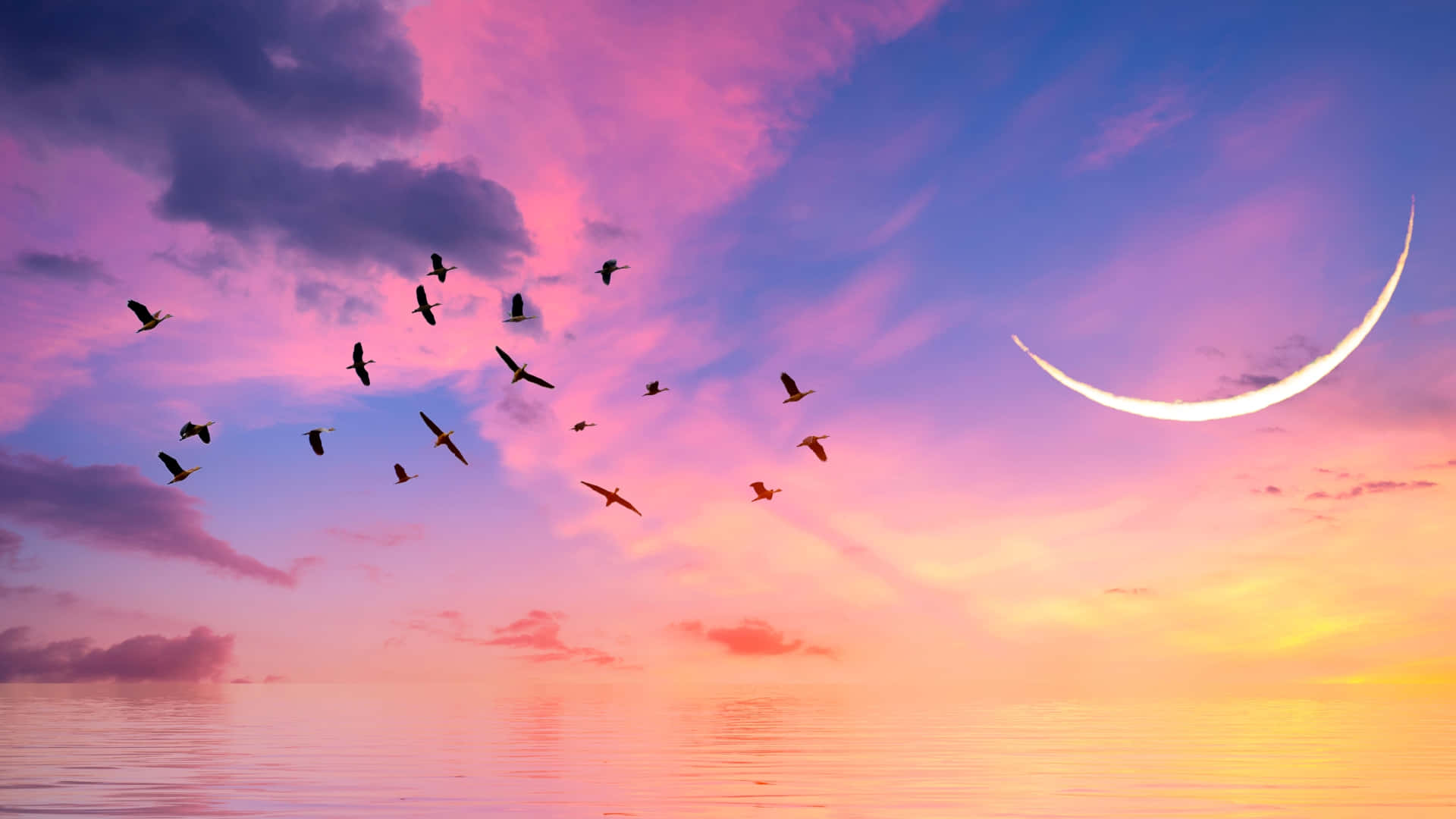 Pink Moon And Birds Flying Wallpaper