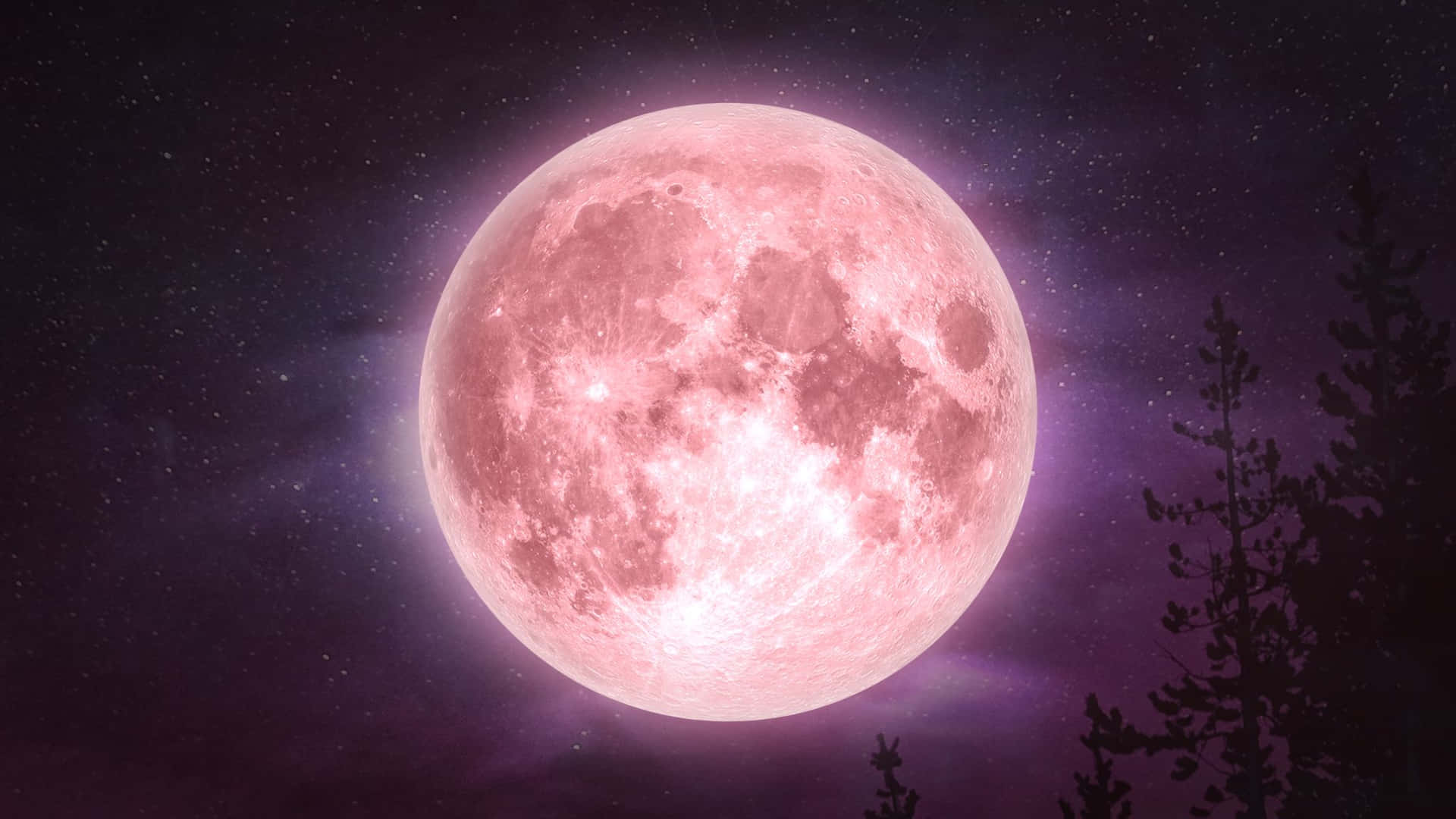 A beautiful pink moon illuminated in a clear night sky Wallpaper