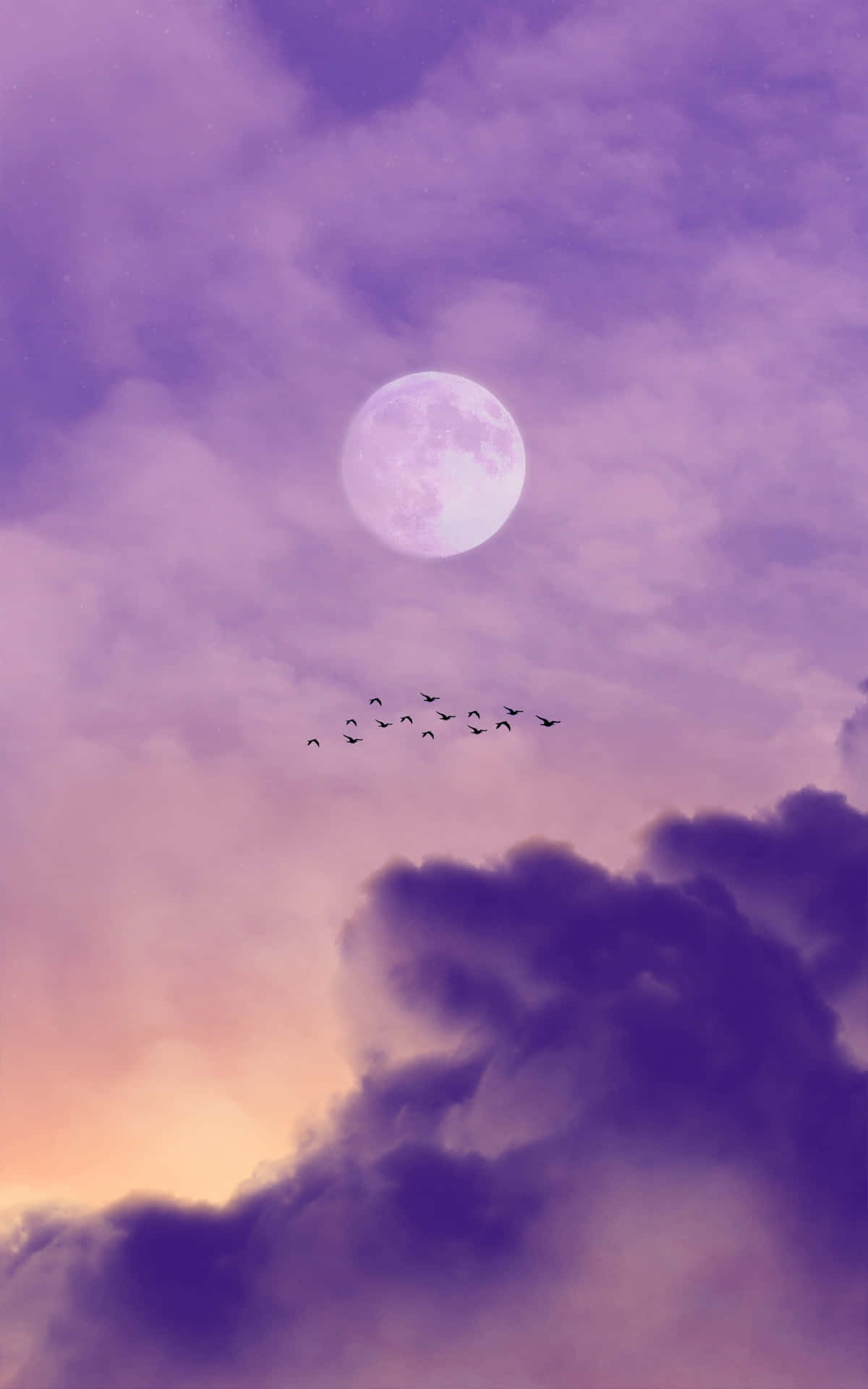 Pink Moon Cloudy Sky And Birds Wallpaper