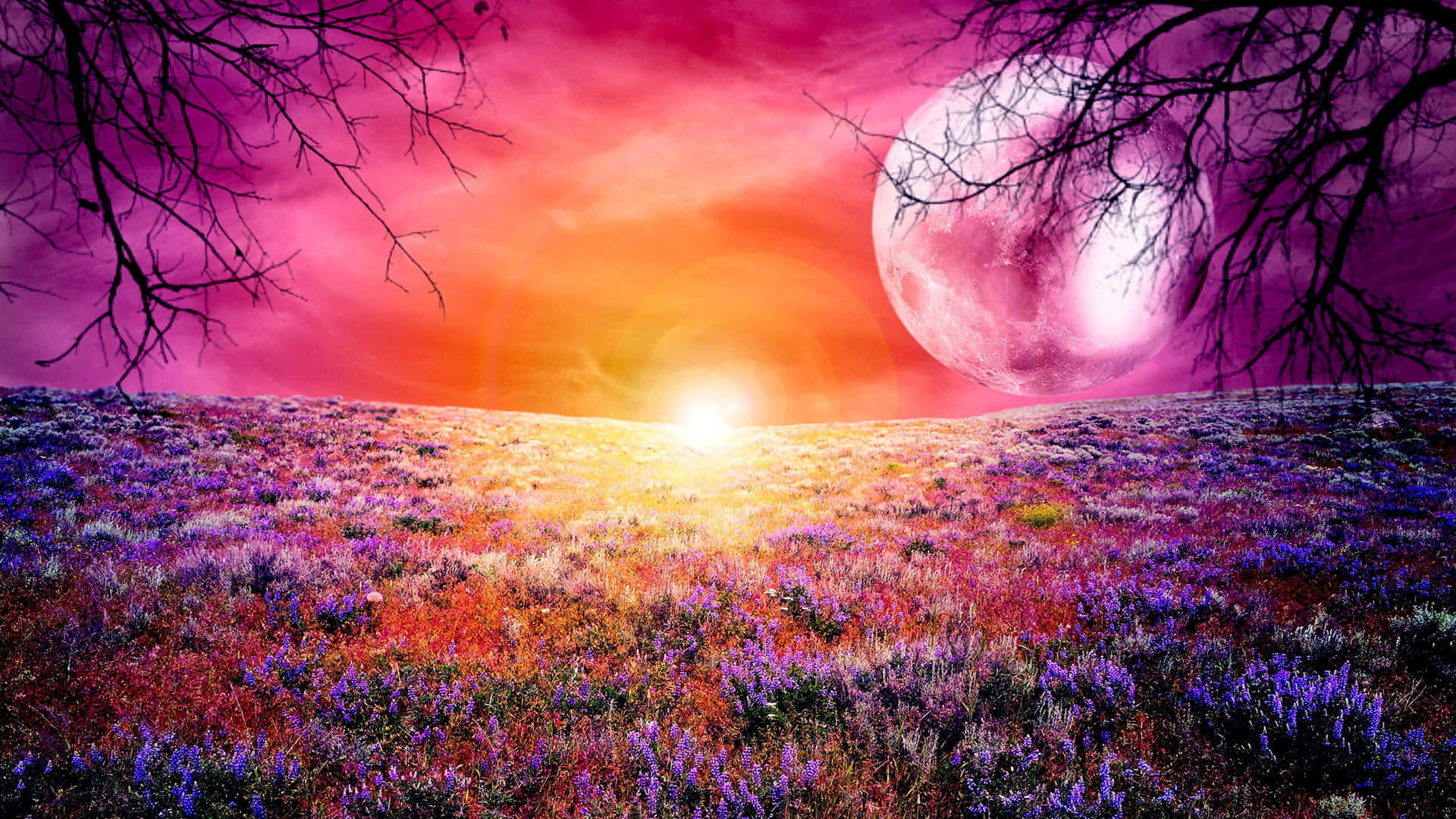 Pink Moon And Flower Field Wallpaper