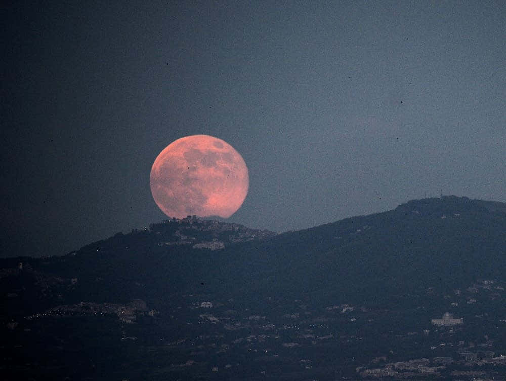 Magicalrealism - La Luna Rosa In Una Notte Stellata