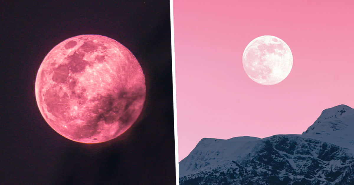 Behold the beauty of the Pink Moon in all its glory.