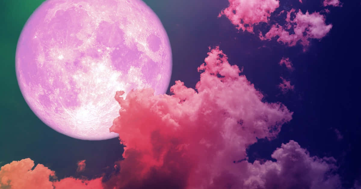 Guardala Cattivante Bellezza Del Cielo Notturno E Ammira L'onnipotente Luna Rosa
