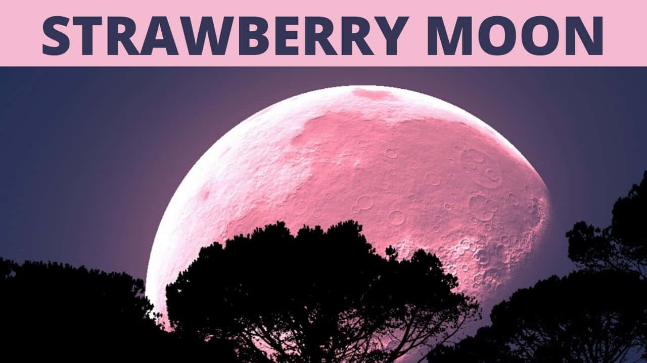 Witness the beauty of a pink moon rising in the night sky.