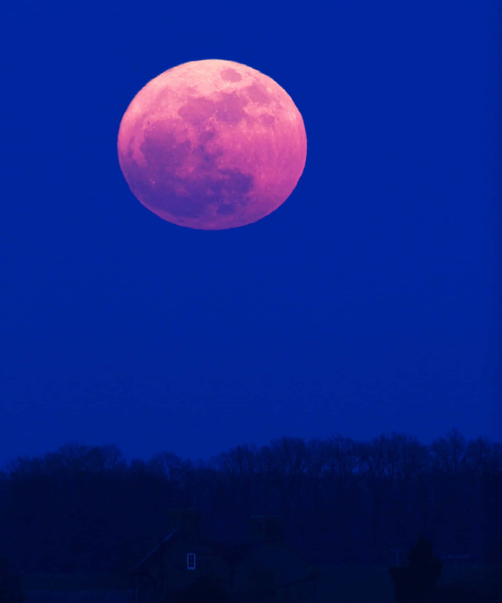 The mysterious beauty of the Pink Moon