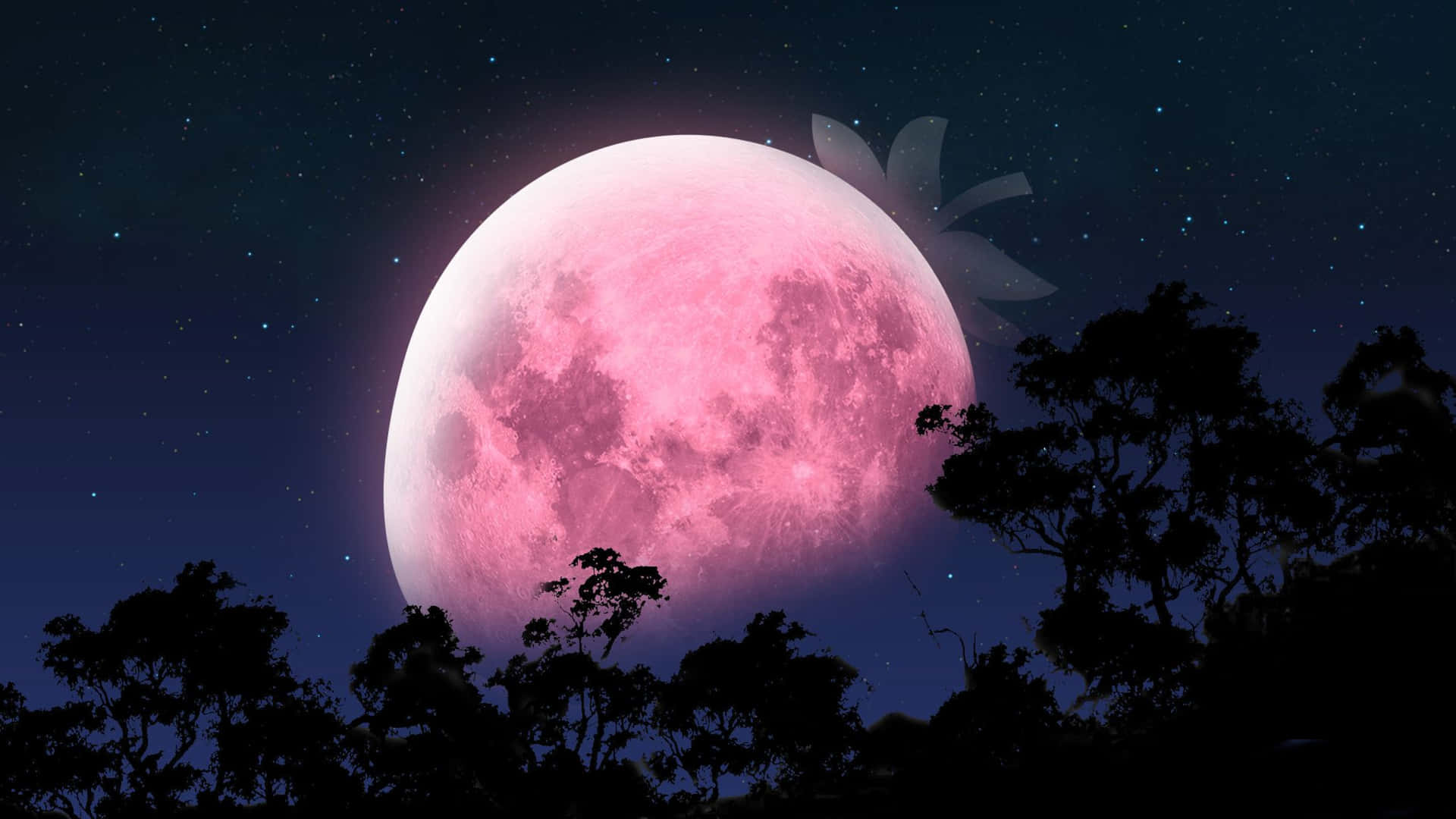 Captivating Pink Moon in the Night Sky