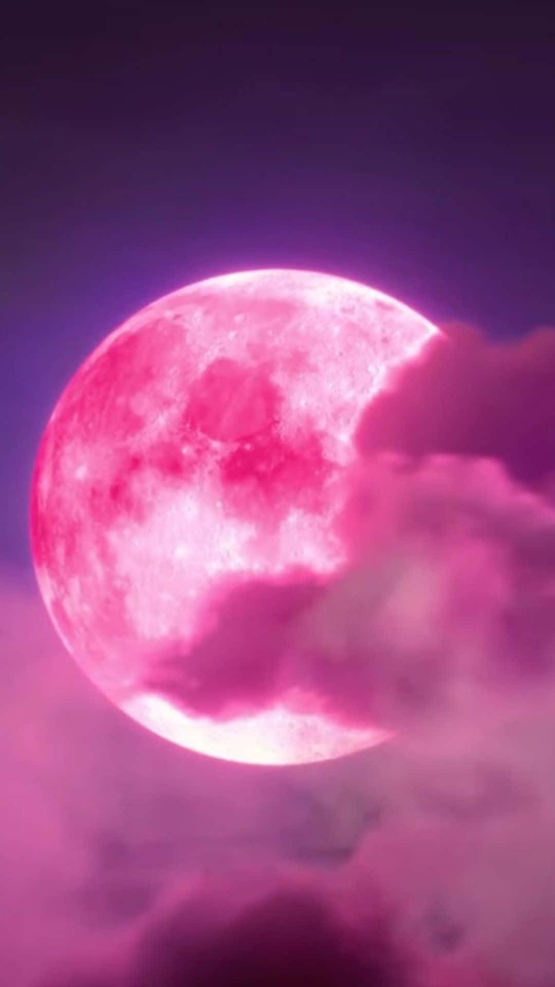 Enjoy the beautiful view of the pink moon rising over the ocean