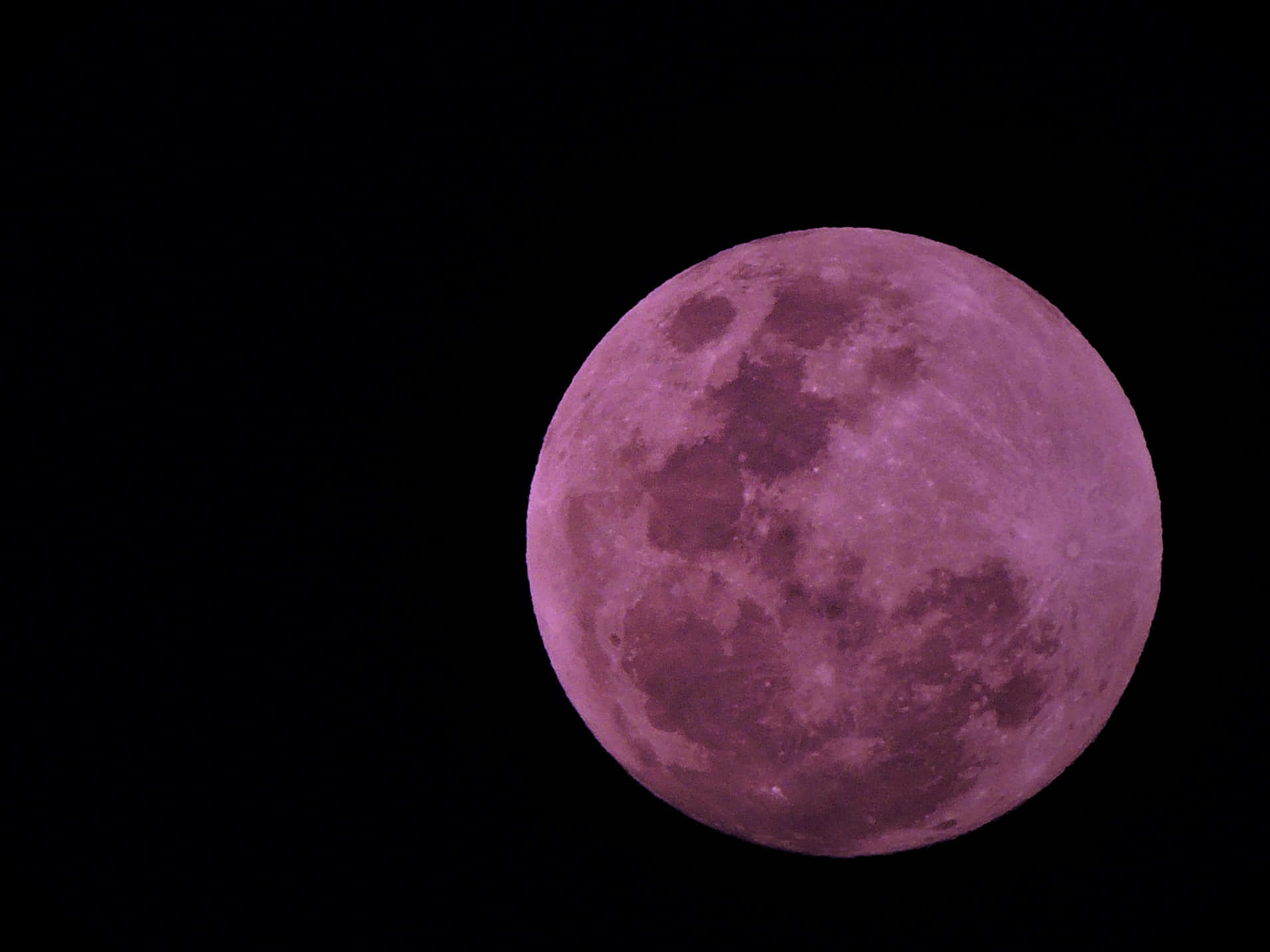 Granluna Rosa En Un Cielo Oscuro Fondo de pantalla
