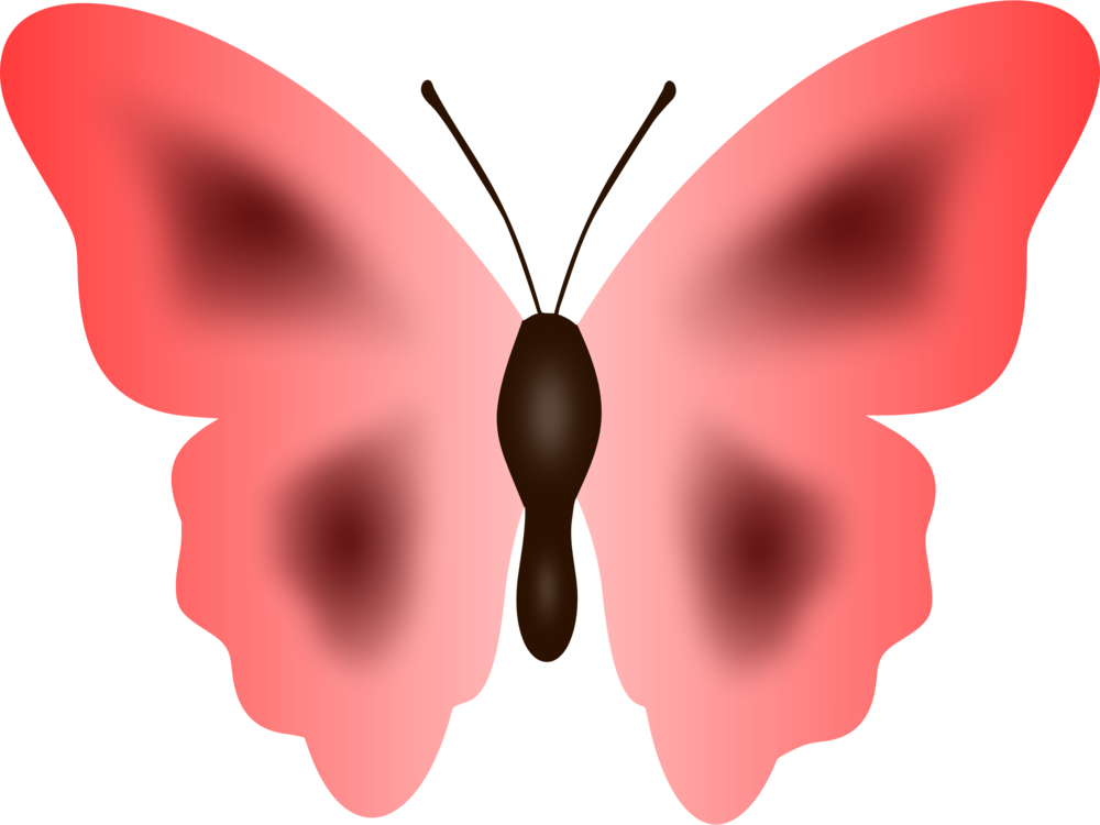 Pink Moth Illustration.png PNG