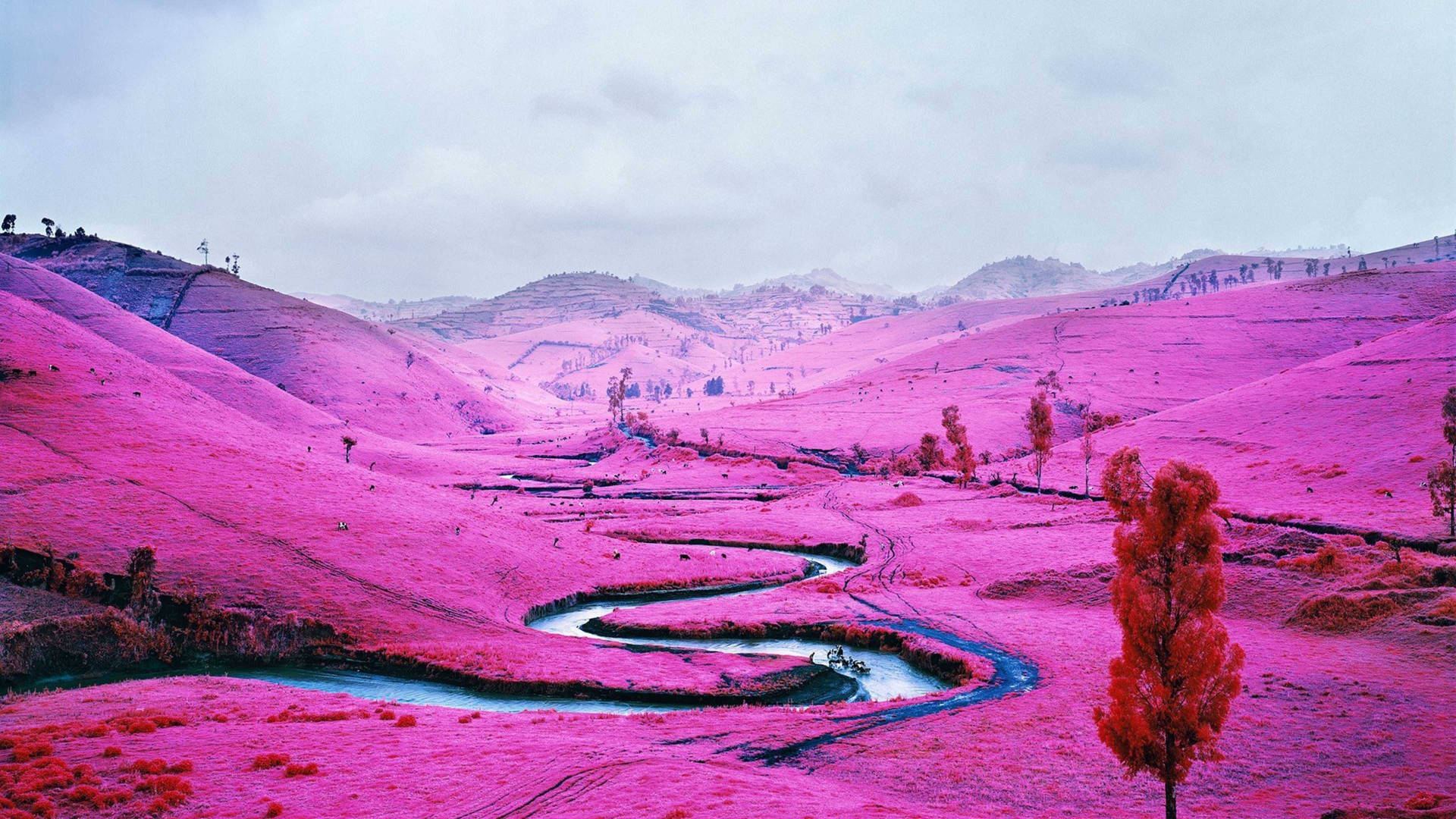 Pink Mountain I Congo Wallpaper