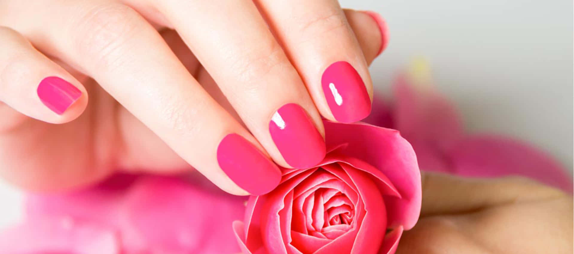 Elegant Pink Nails on a Woman's Hand Wallpaper