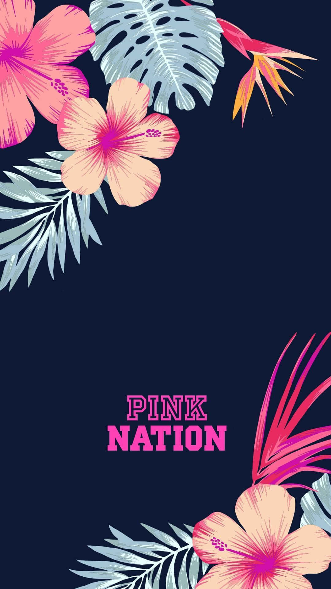Pinknation - Hawaiische Hibiskusblume Wallpaper
