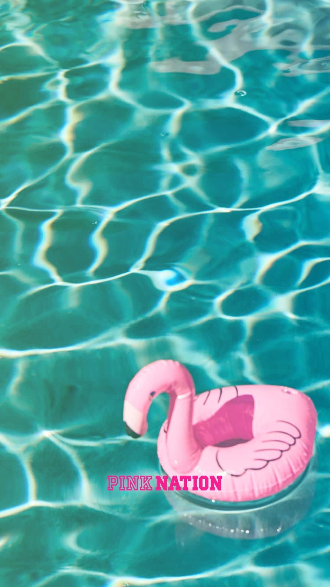 Pink Flamingo Floating In A Pool Wallpaper